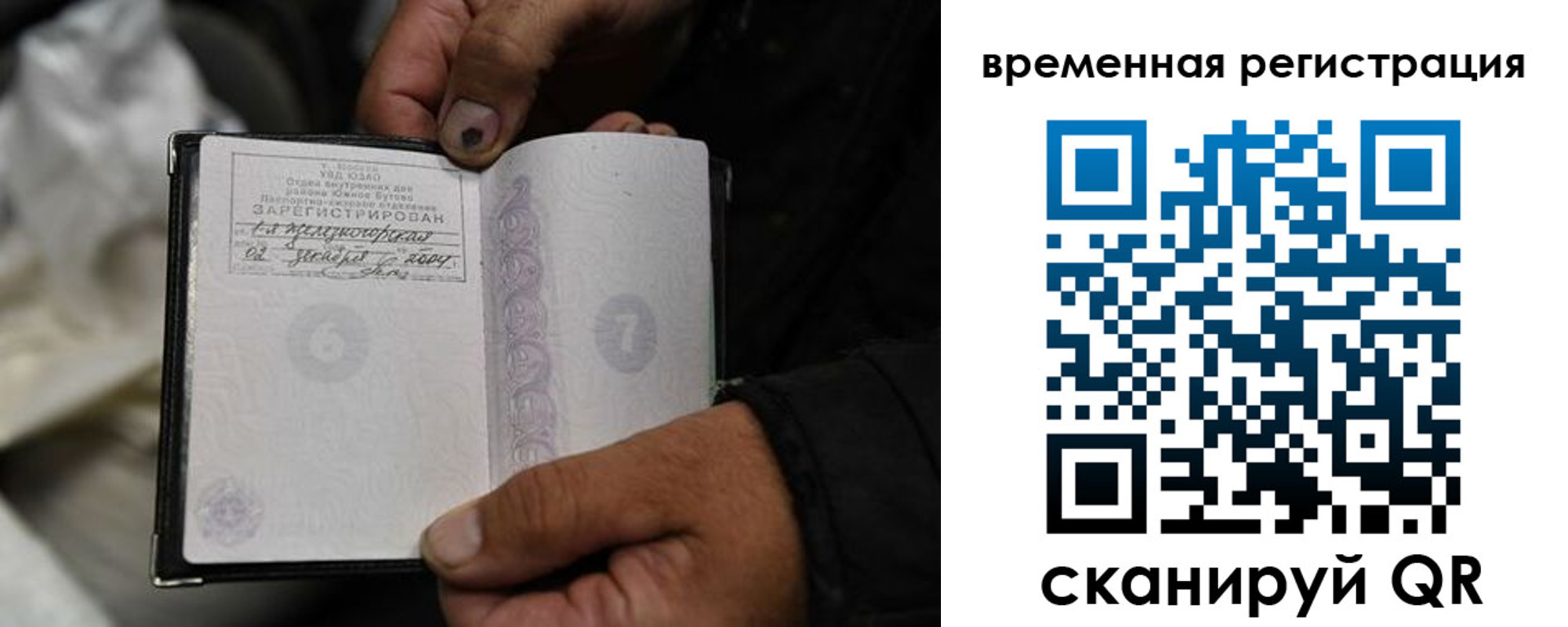 прописка поиск в Мурманске